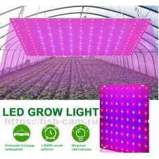 Фитолампа LED Grow Light для выращивания растений 75вт, 81 светодиод